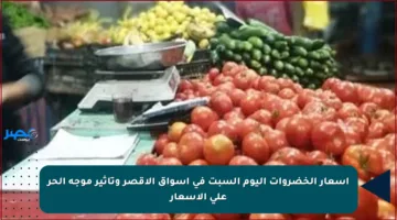 أسعار الخضروات اليوم السبت في أسواق الأقصر وتأثير موجة الحر على الأسعار